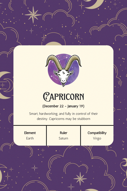 Zodiac Capricorn Token Charm